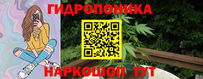 прущие грибы Абинск