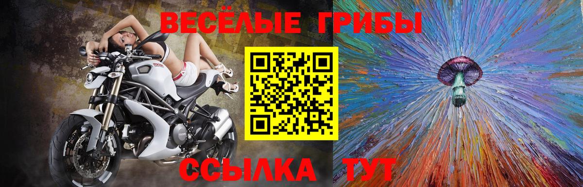 Анапа  Галлюциногенные грибы Magic Shrooms  продажа наркотиков  Вход с VPN 
